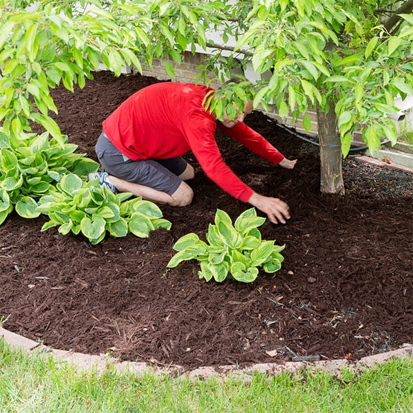 to determine the amount of mulch needed for installation, calculate the square footage of the area and the desired depth of the mulch layer